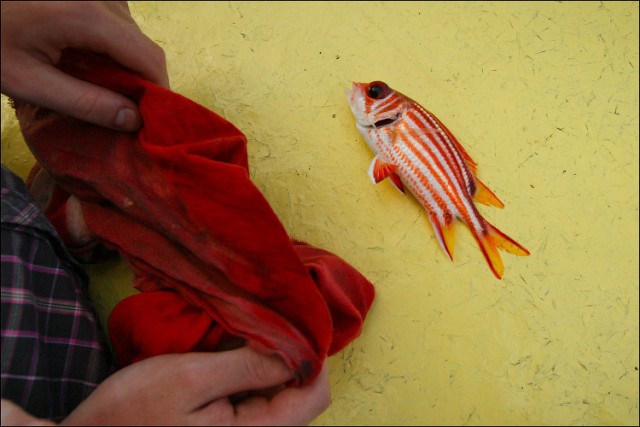 Рыбалка в Сиамском заливе.