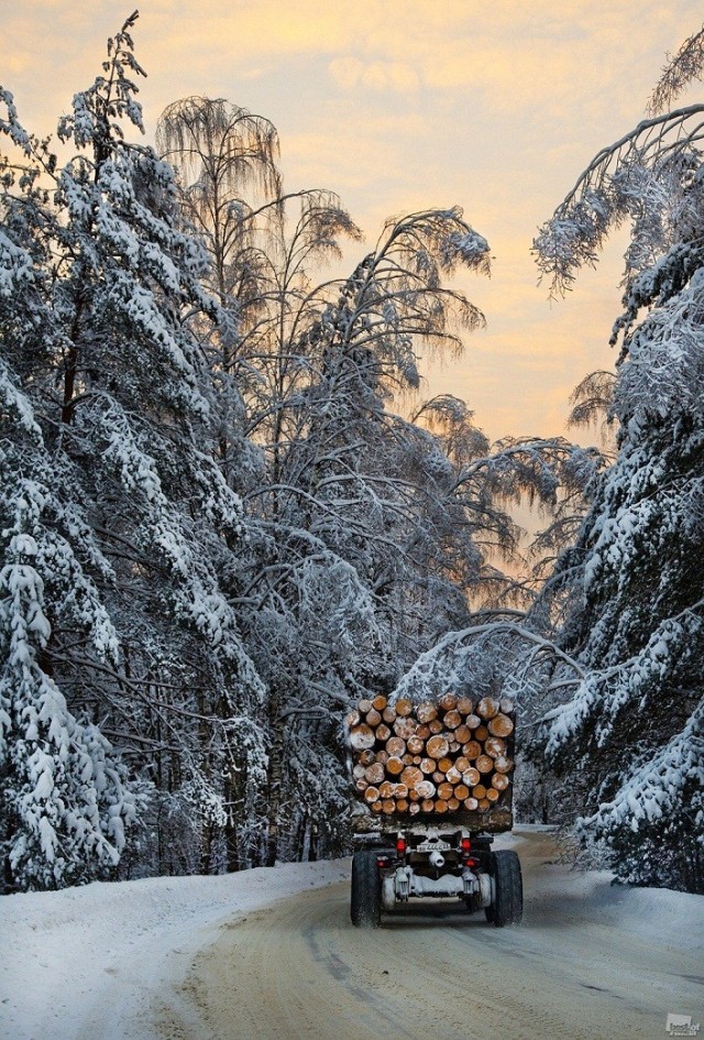 Россия в фотографиях (76 фото)