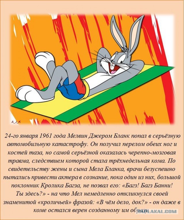 20 фактов обо всем