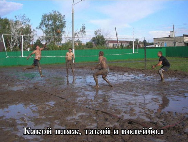 Веселые картинки