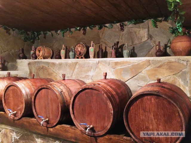 Абхазия, пансионат "Самшитовая роща"