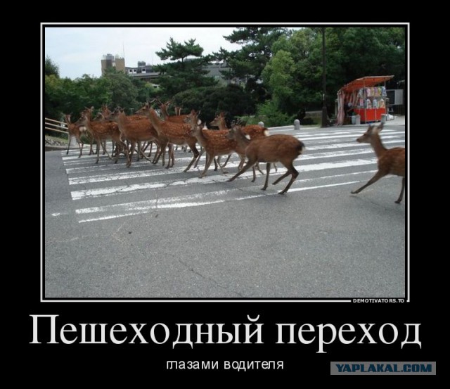 Картинки с буквами -11