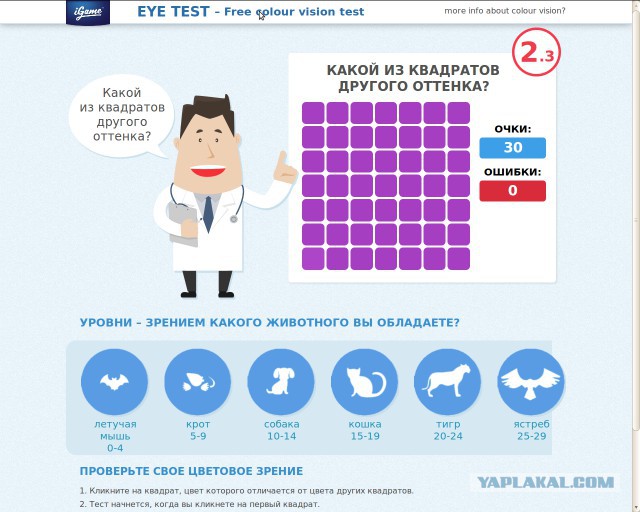 Тест
