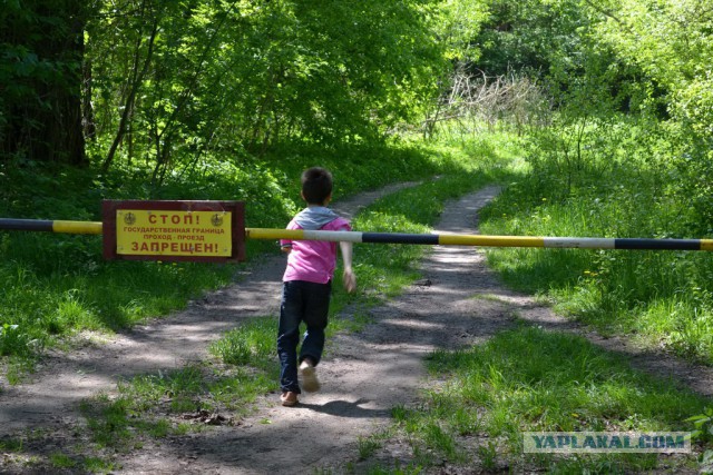 Поездка в Беларусь
