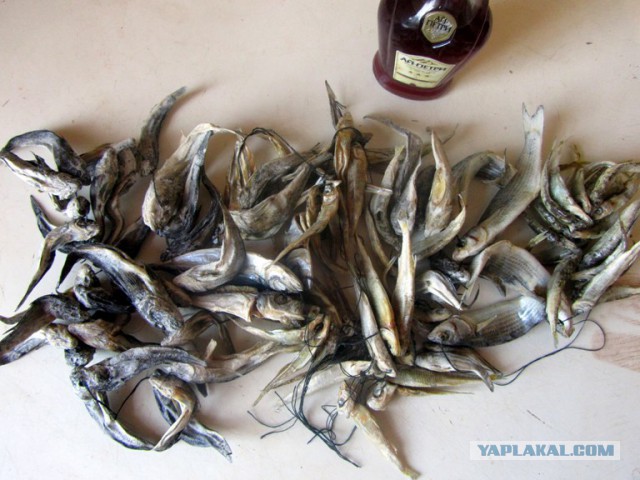 Отдохнули в Очакове