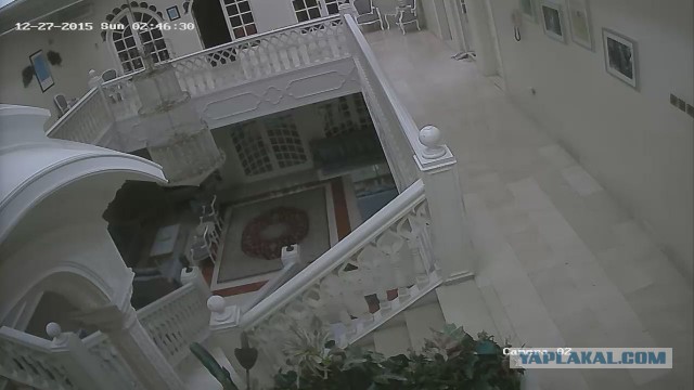 За что я люблю китайцев