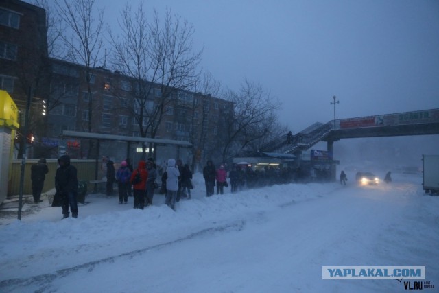 А во Владивостоке снова снежок
