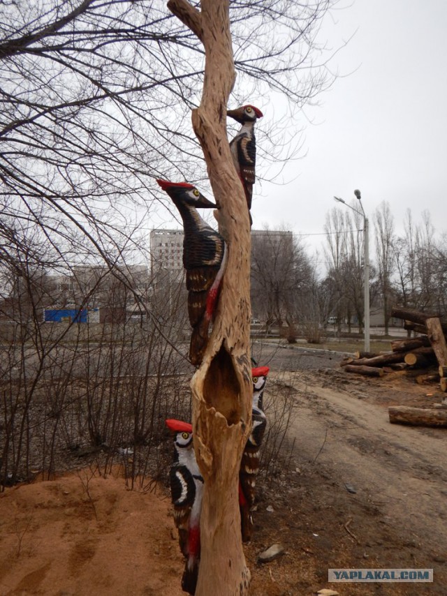 Поцелуй Дятла