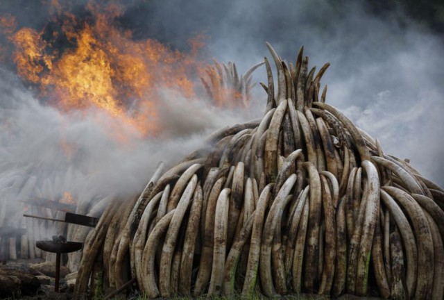 Подборка картинок