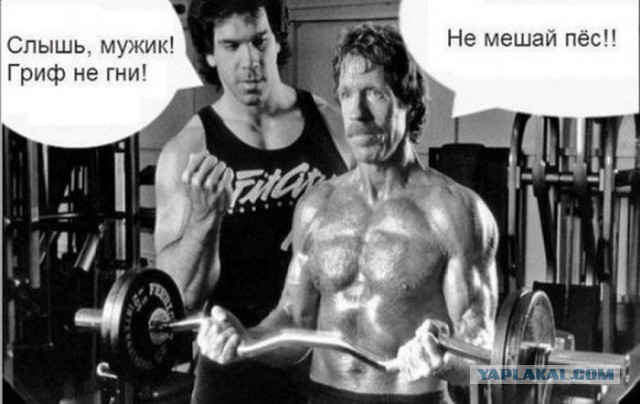 Как реагирует организм на ежедневные занятия спортом
