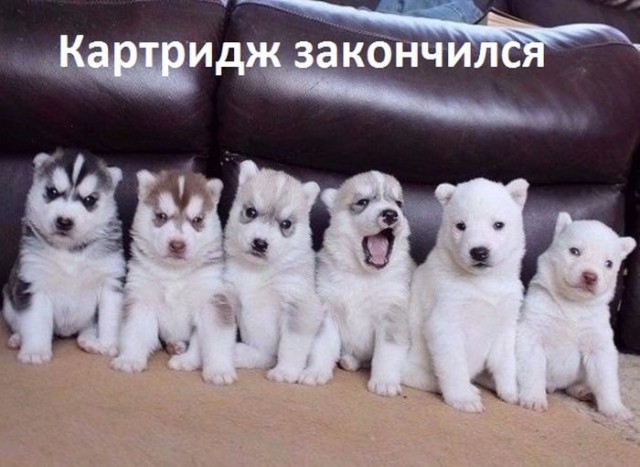 Всякое-разное из сети