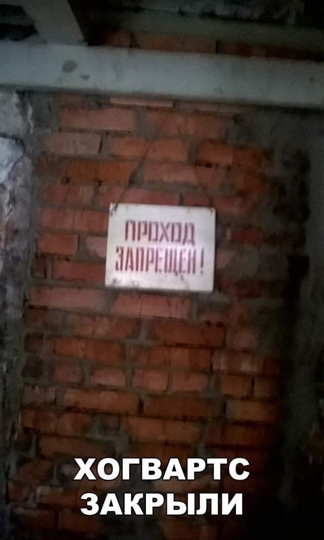 Подборка интересных и веселых картинок