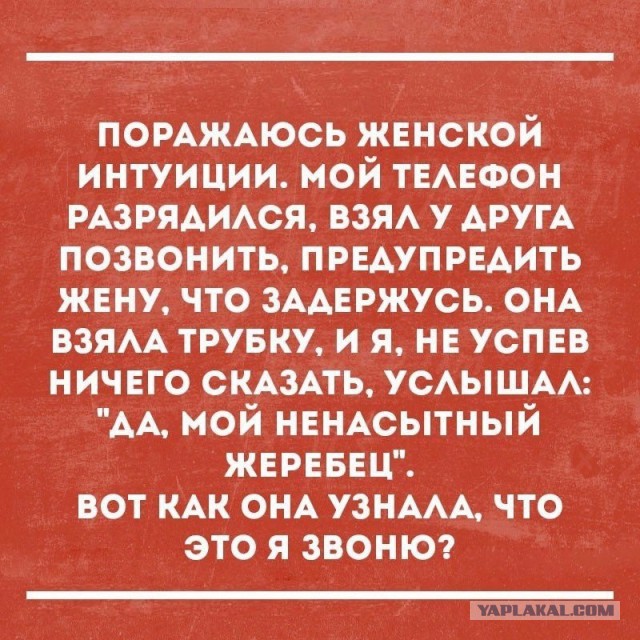 Пятница идеальной жены
