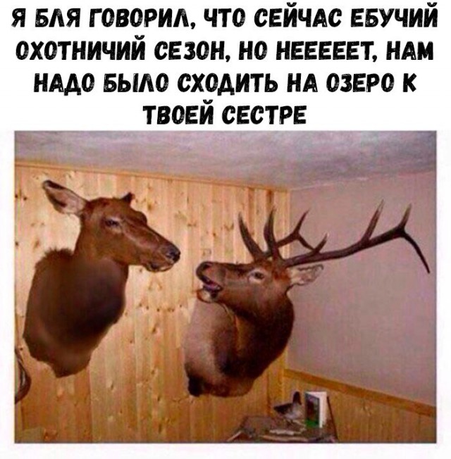 Подборка картинок для настроения