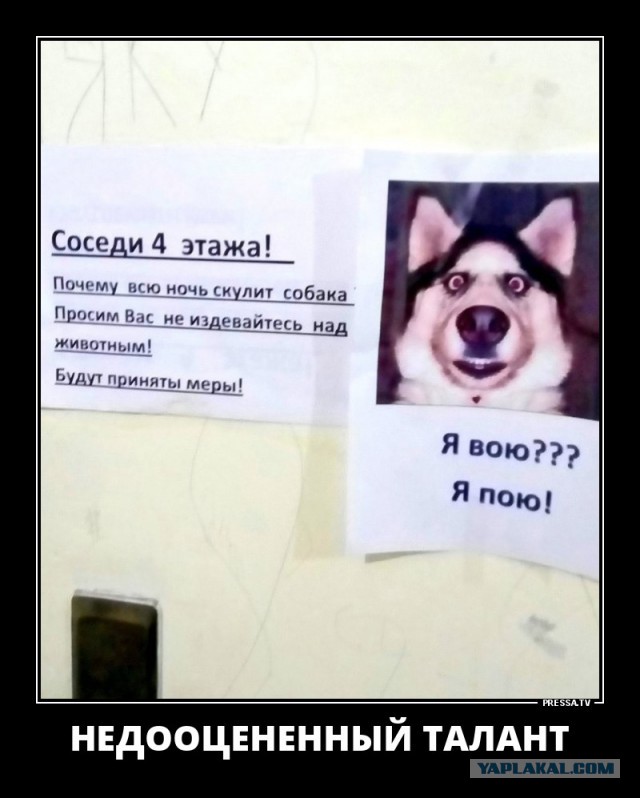 Споёмте друзья!