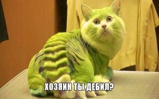 Нестандартный юмор