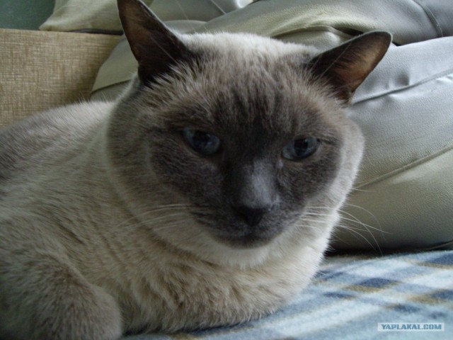КОТовторник 13.04.2010г.
