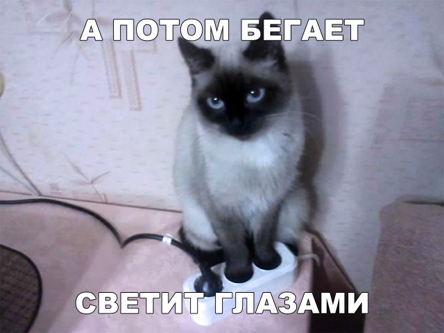 Немного милоты
