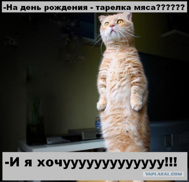 К сожалению, день рожденья..