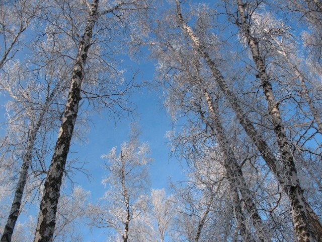 любительская фотография