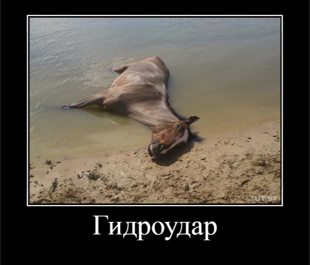 Немного картинок для настроения