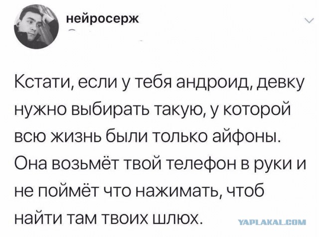 Кривые зеркала