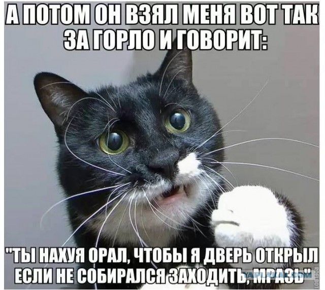 Картинки