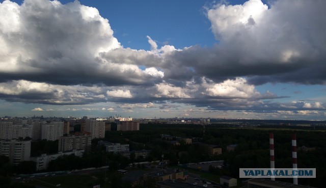Сам себе фотограф