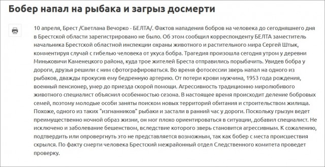 Бобер тащит морковку для своего семейства