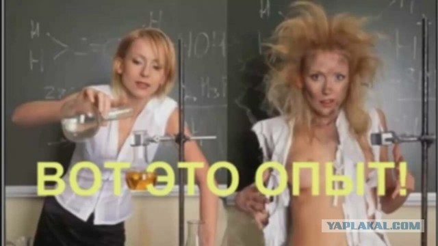 Мне бы такую химичку