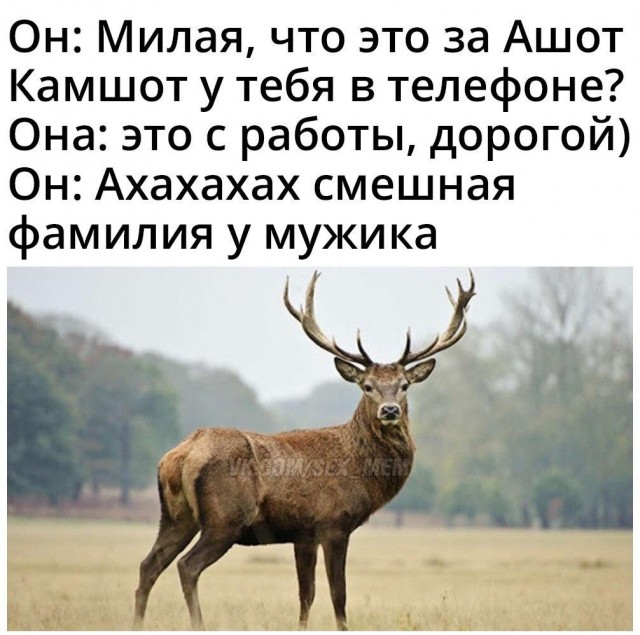 Очень пошлые картинки про это.18+