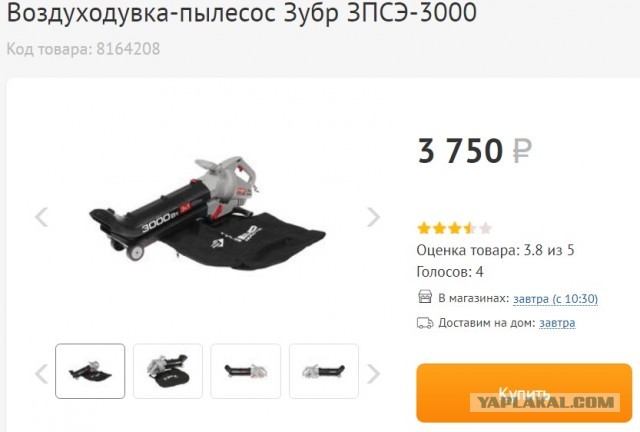 В России с 1 января на территории частных домов запретят сжигать мусор и разводить костры