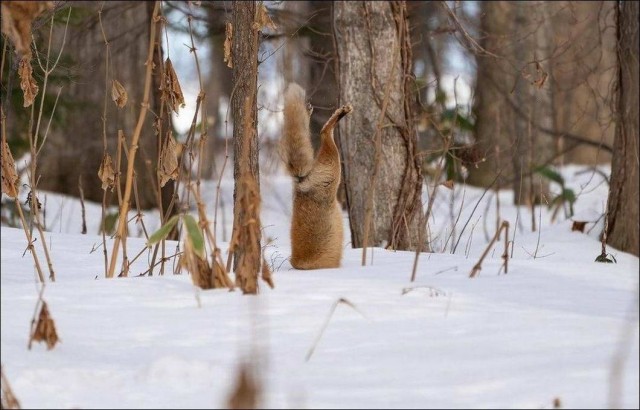 Несколько пикч ни о чём в понедельник