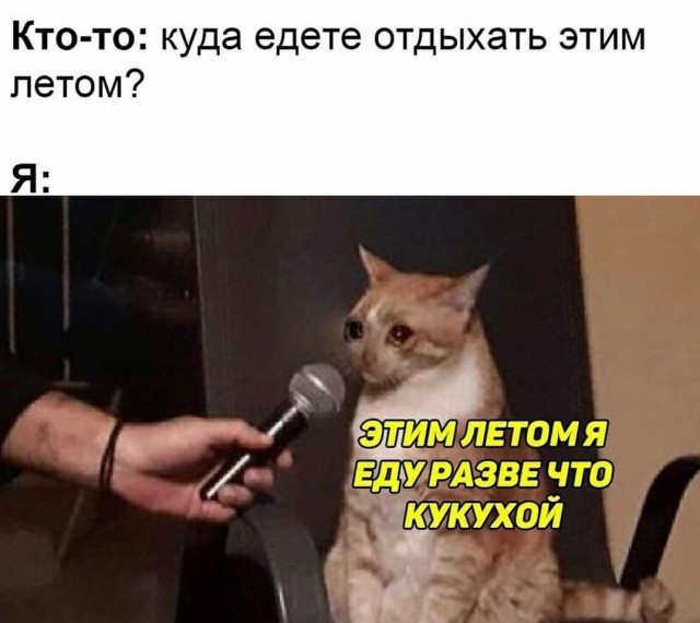 Так себе картинки 12.06.21