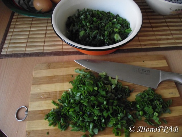 Пятничные посиделки на теплотрассе ©