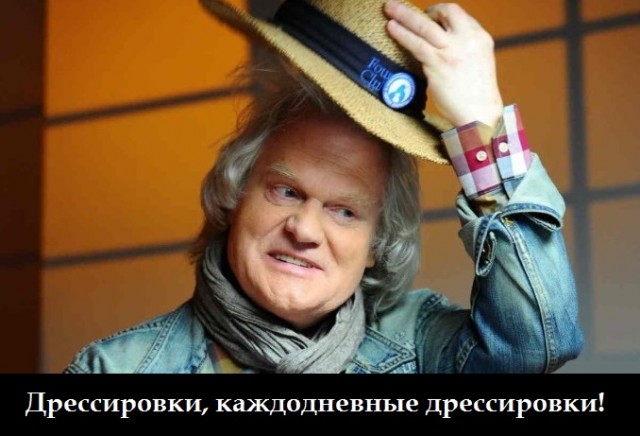 Кошка за порядок в доме!