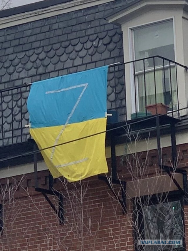 Это вообще законно?