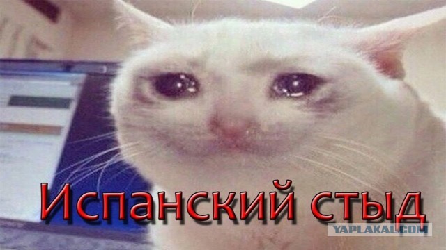 Беженцы из Украины в Германии