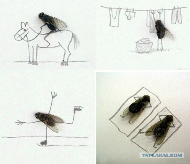 Достали. Буду убивать