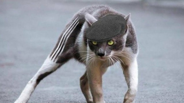 Теперь вы видели всё