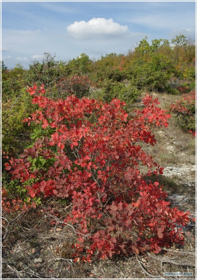 Крым. Змеиная балка. Терень-Джалга.