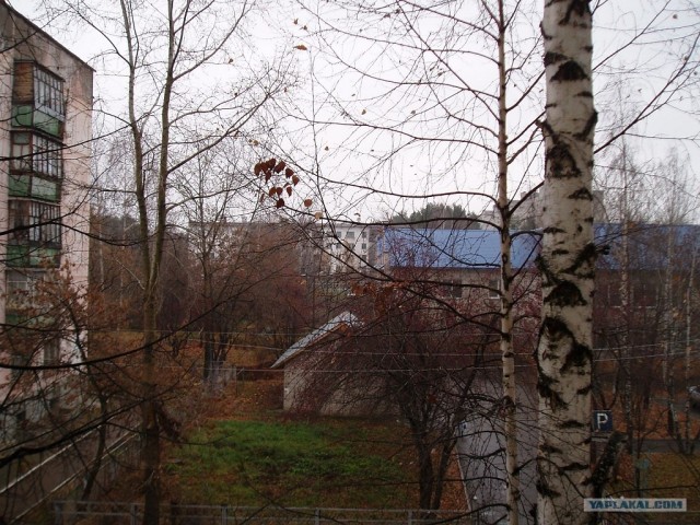 Изменения природы