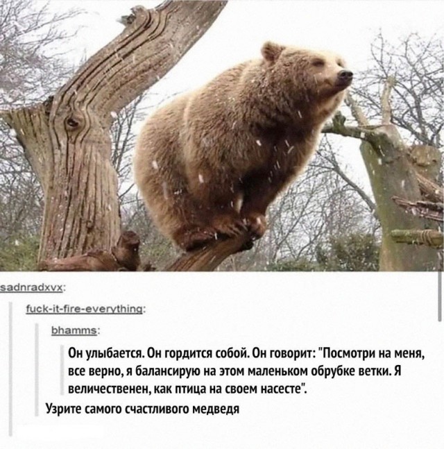 Картинки и мемы, всяко разно - 183