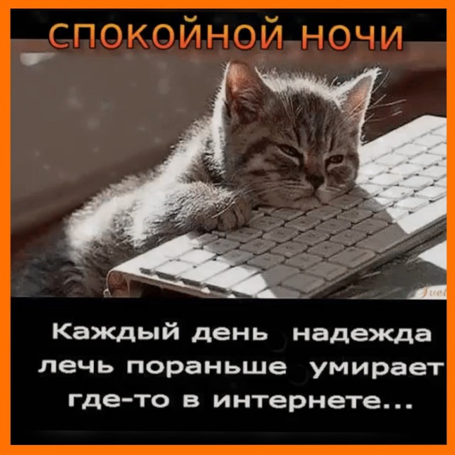 Демократия в опасности!