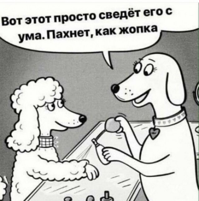 Сквозь смех и слёзы, часть 2. Но больше баянов
