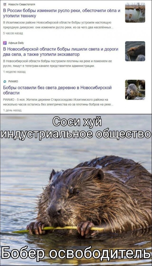 Среда пришла - неделя прошла, дорогие деграданты