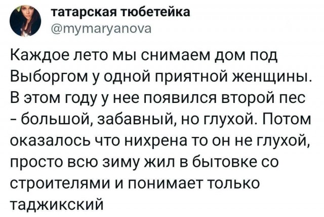 Нуштош 02.02.2024