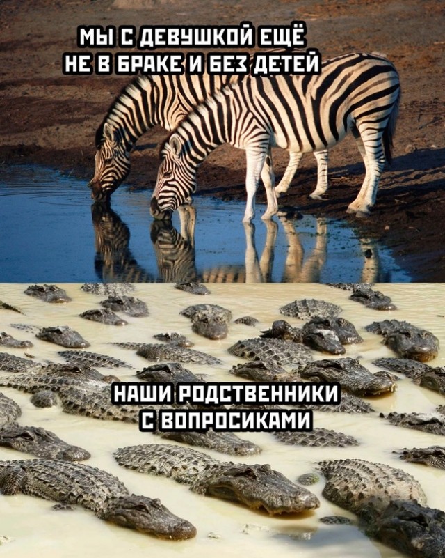 Весёлый полтишок 06.02.24
