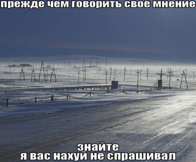 Всего понемногу. От 02.04.24