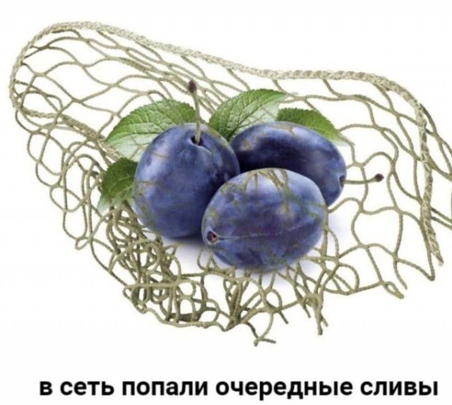 Отряд быстрого деградирования